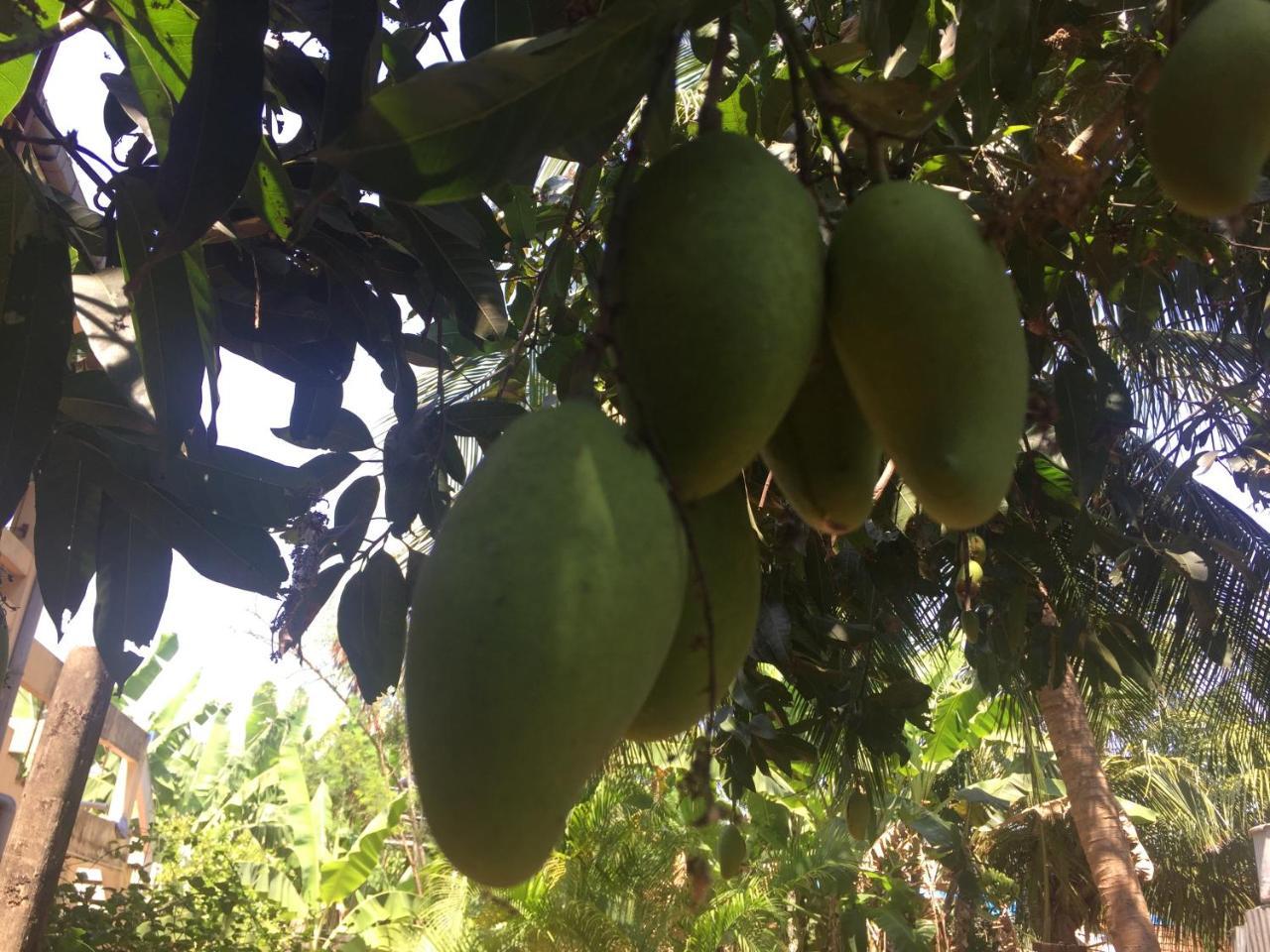 Nallur Residence Jaffna Luaran gambar